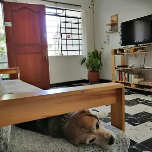  Albergue Selvática